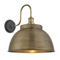 Swan Neck Outdoor & Bathroom Dome Wall Light - 17 Inch
